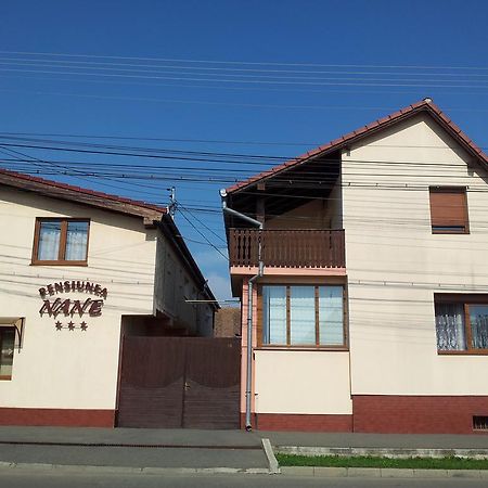 Pensiunea Nane Sibiu Exterior photo